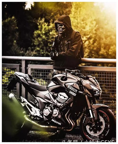 车款由之前的750cc扩缸至800cc2013年第一次面世,也有着川崎惯有的极