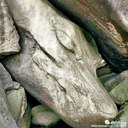 温州大罗山风景区----石之韵_石头