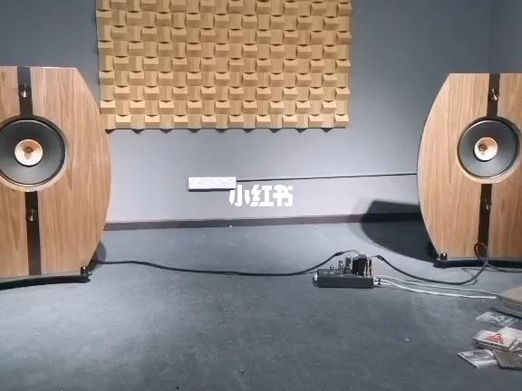 liisong丽颂15寸全频障板音箱