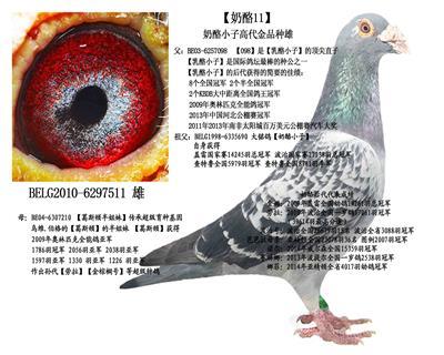 葛斯顿奶酪【金公主】