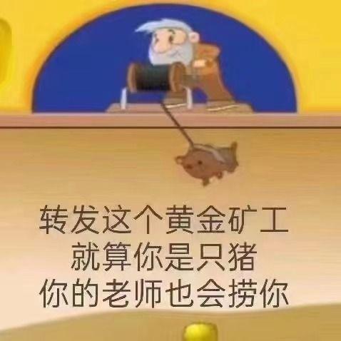 等捞系列 pro 转发这个黄金矿工 就算你是只猪 你的老师也会捞你