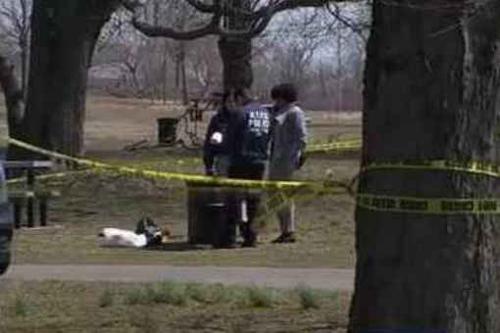 美国公园惊现人彘四肢被砍被误认为是娃娃