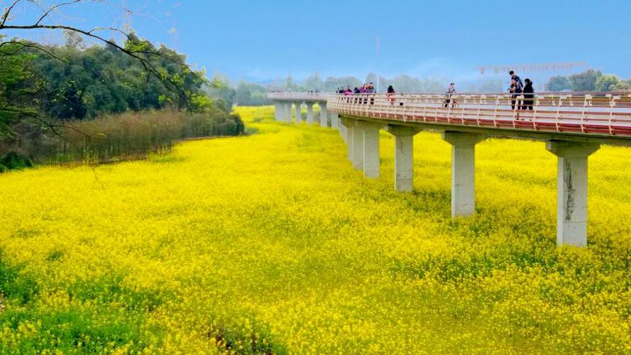 郫都区水乡空中绿道