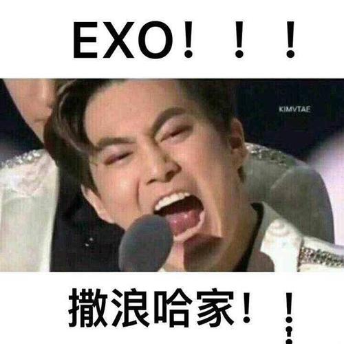 为什么exo的表情包这么搞笑我快笑死了哈哈哈哈!