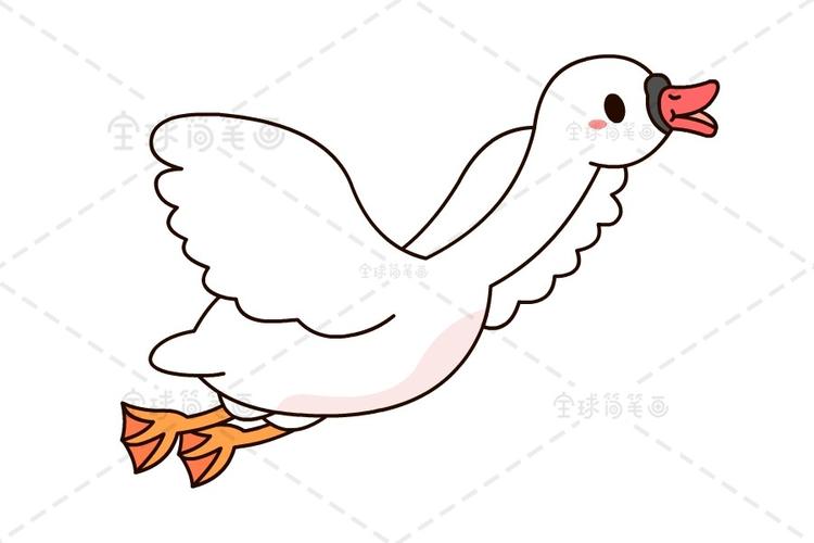 飞翔的天鹅简笔画