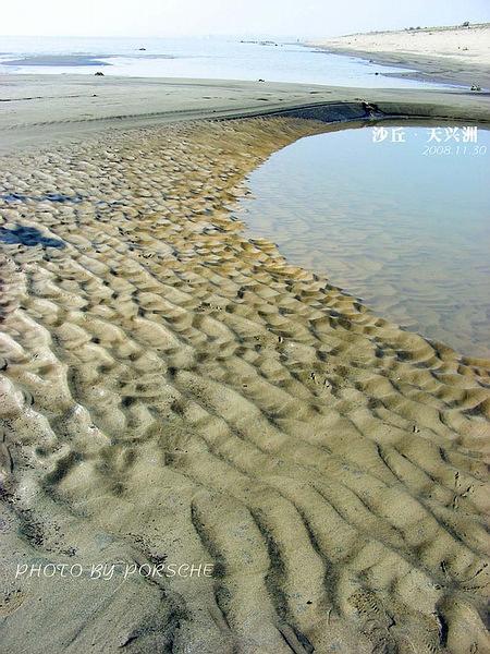 天兴洲的沙滩 很柔软的 沙子超细,很多海边的沙滩都没这好的!
