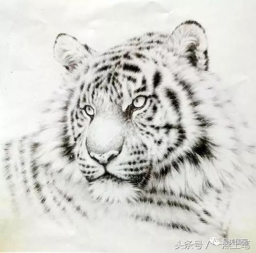 国画工笔画老虎详细步骤