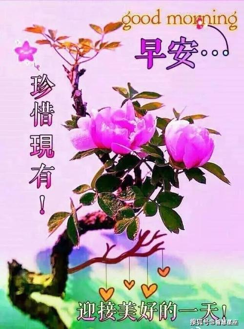 正月二十二清晨早安问候语动态表情图片 春季漂亮早上