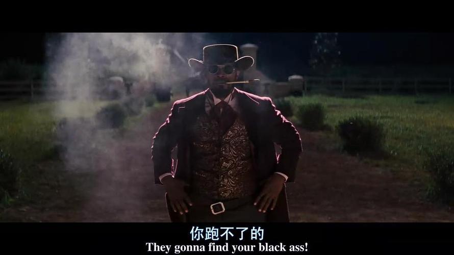 被解救的姜戈(django unchained)2012-12