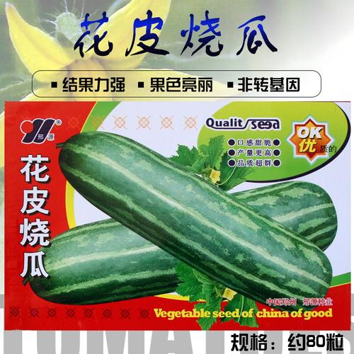 本味花皮梢瓜烧瓜酥瓜种子 花皮菜瓜 甜瓜香瓜 口味脆嫩水果种子