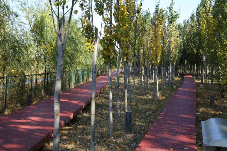 大运河景观带——泊头段