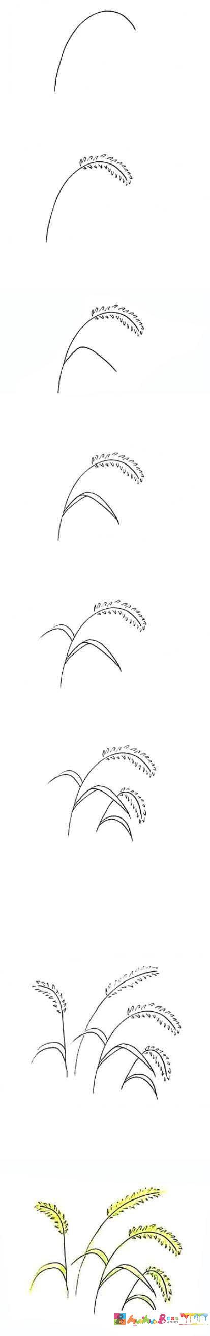 怎么画彩色狗尾草的画法步骤图简单漂亮