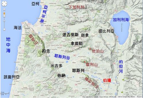 地图      