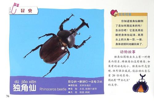 小眼睛看世界(识动物)