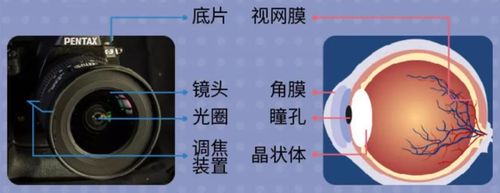 [小优科普] 第二课:解析与眼球成像有关的那些事