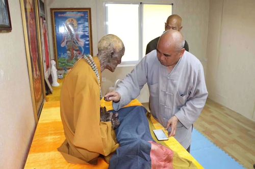 法讯——来佛寺海贤老和尚肉身不坏金刚法体今天起可以参拜南无阿弥陀