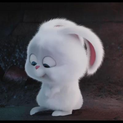 爱宠大机密兔子头像高清图 爱宠小白兔头像图片