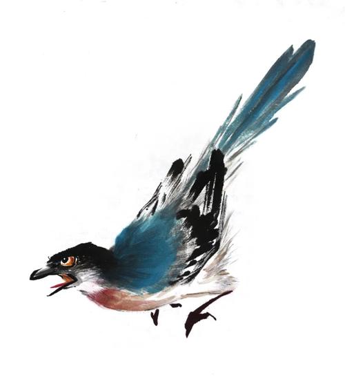 图文教程:灰喜鹊的画法_国画教程大全_零二七艺考