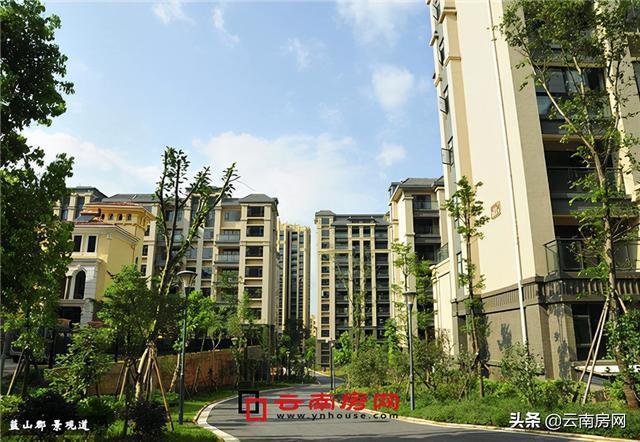 太平新城这是怎么了辛辛苦苦十几年一夜回到解放前