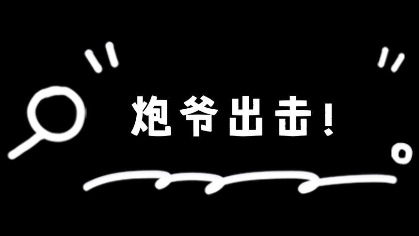 炮爷出击,只为正义!