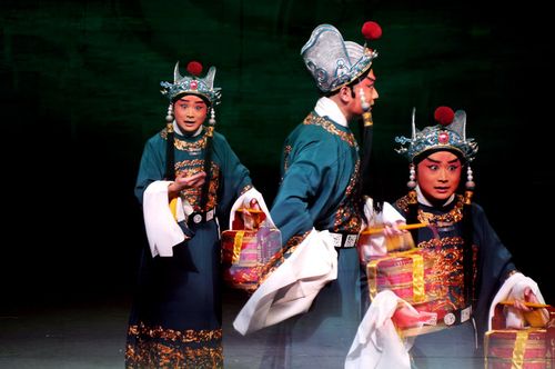 观看京剧《狸猫换太子》