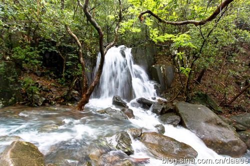 游摄:东莞清溪/银瓶山森林公园/2012