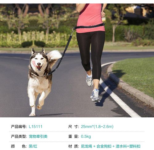 广州宠物用品批发 遛狗牵引跑步拉带 狗狗晨跑运动牵引绳 牵狗绳