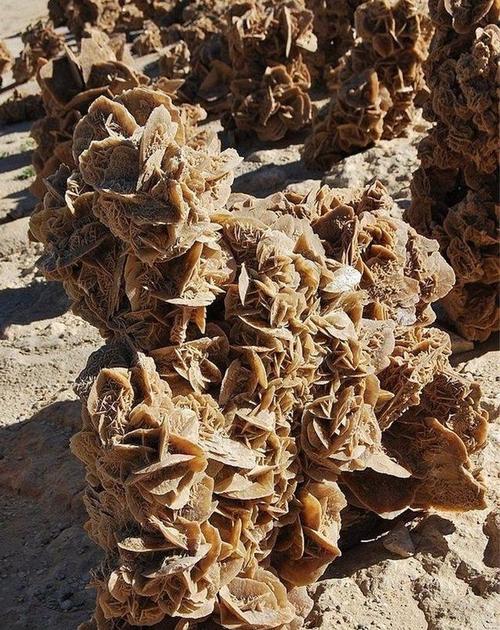 沙漠玫瑰图片石头