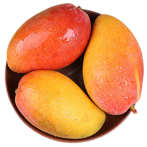 果迎鲜芒果5斤贵妃芒海南芒果生鲜海南贵妃芒热带新鲜水果芒果红金龙