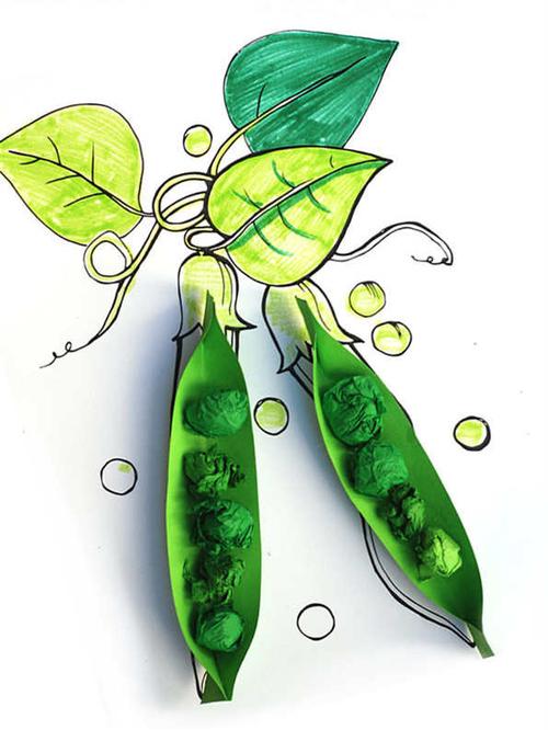 绿色豌豆荚半立体手工制作