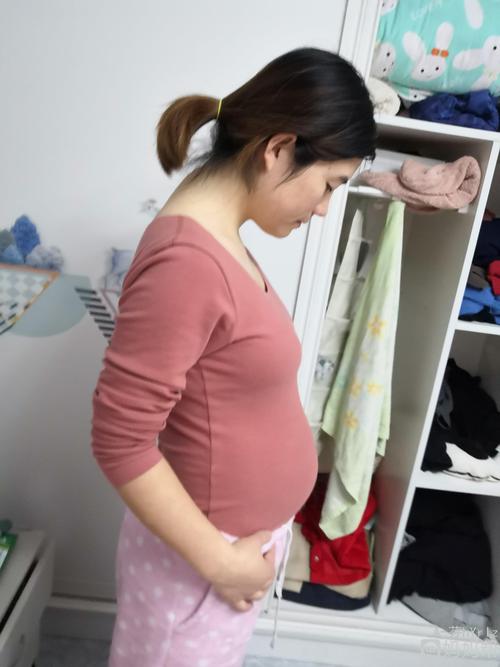 14周的肚子是不是有点大黑线