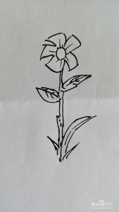 漂亮的花丛简笔画