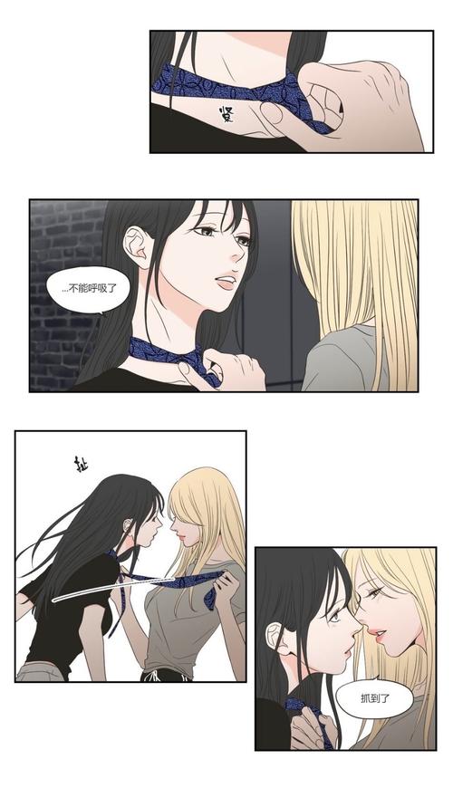 你们看过狐狸在说什么吗