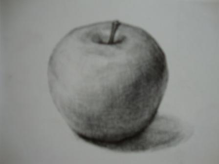 五年级静态水果素描图-营养丰富的苹果
