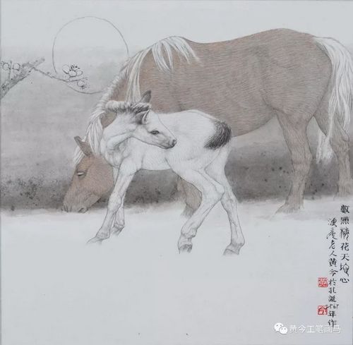 黄今画画说说四