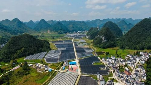 我校定点扶贫县贵州省长顺县在贵州省2019年度脱贫攻坚成效考核中排名