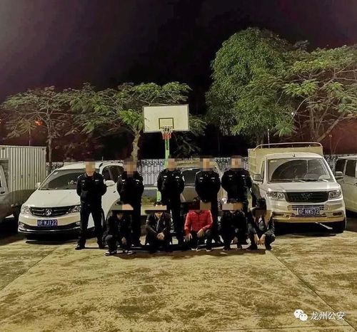响水故意伤害案嫌疑人投案自首,开展抓捕行动,恶势力犯罪团伙14人全部