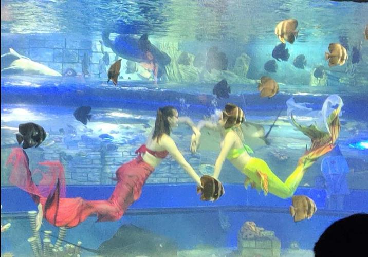 镜湖湿地海洋世界一日游
