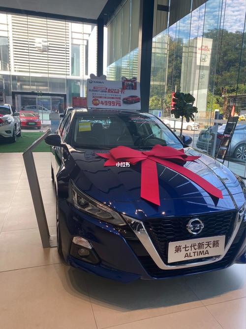 天籁2021款舒适版蓝色vs白色_提车_日产天籁_汽车