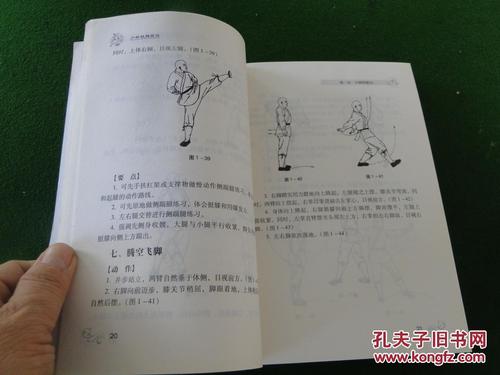 少林铁腿绝技2014一版一印32开插图本