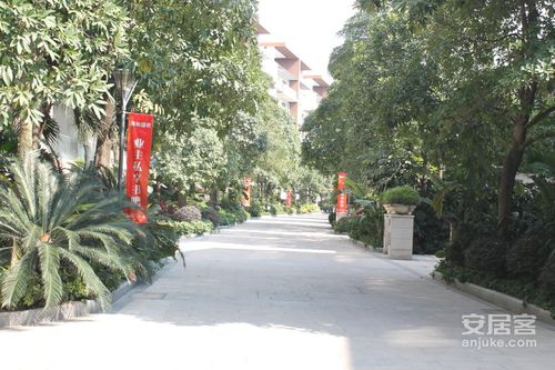 花都颐和盛世实景图