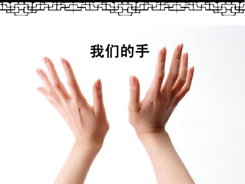 当前第32页) 你可能喜欢 生肖的联想 艺术源于生活 手绘线条 人美版六