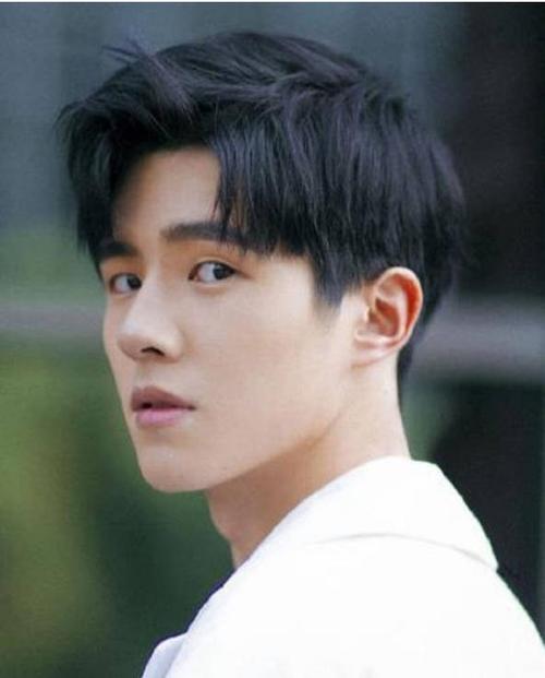 单眼皮男明星照片大全