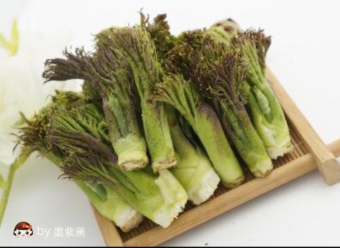 刺老芽,又称刺嫩芽,刺老鸦,龙牙楤木.