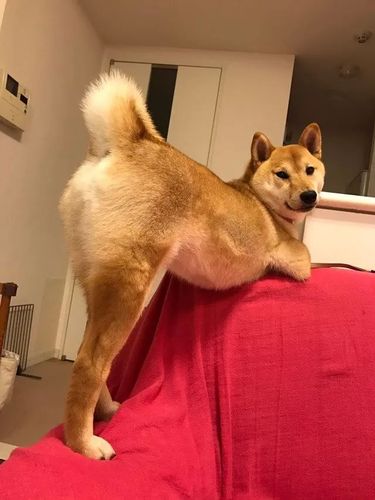 ▼ 来呀,快活呀