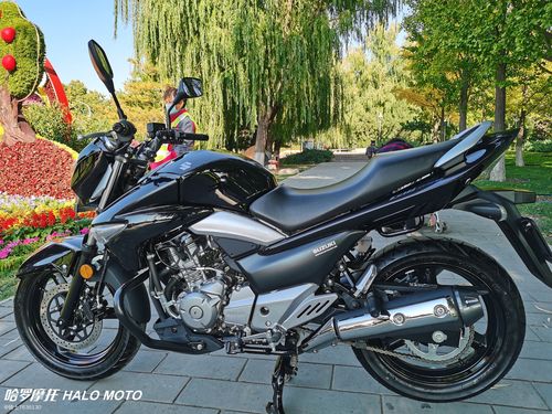 二手摩托车铃木 gw250新款国四