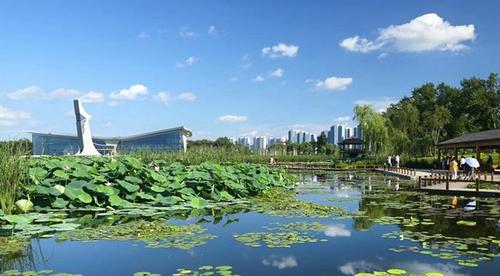 辽宁铁岭莲花湖湿地公园一游,美景宜人,让人流连忘返!