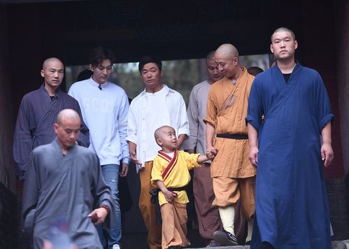 王宝强重返少林寺 与僧侣互动演武状态好