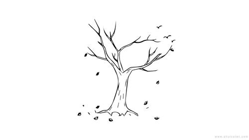 枯树简笔画怎么画枯树简笔画图片