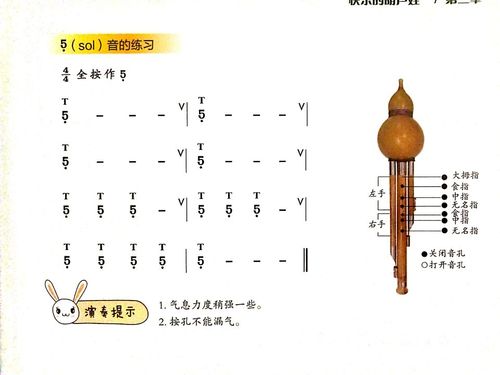 葫芦丝低音5.6.7和中音4的指法练习